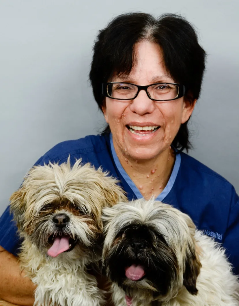 Elena with two dogs at Rainbow Animal Hospital 